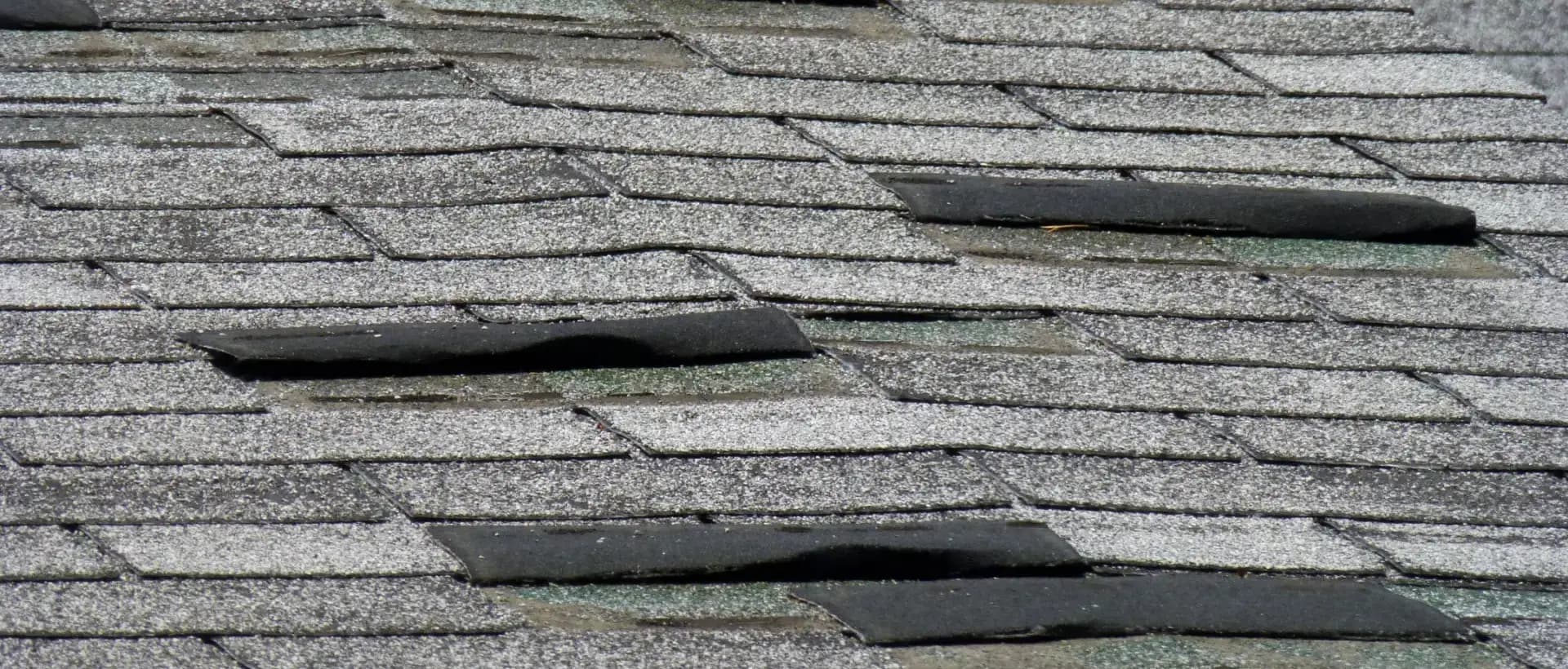Bardeaux asséchés et fendus sur une toiture à Montréal